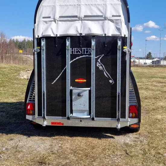 Pferdeanhänger Böckmann Master Nordic Edition 2026 - 2 Pferde - zGG 2400kg - WCF & Aluboden – Bild 19