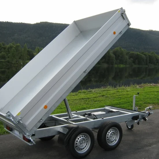 Rückwärtskipper Böckmann RK-AL 3016/27 (2.700 kg Tandem-Hochlader) – Bild 6