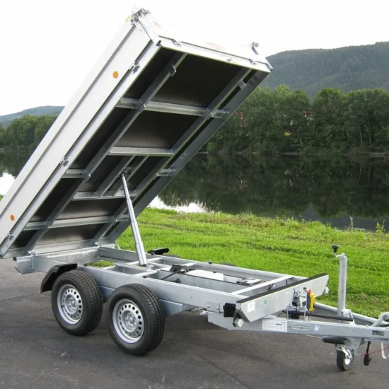 Rückwärtskipper Böckmann RK-AL 3016/27 (2.700 kg Tandem-Hochlader) – Bild 17
