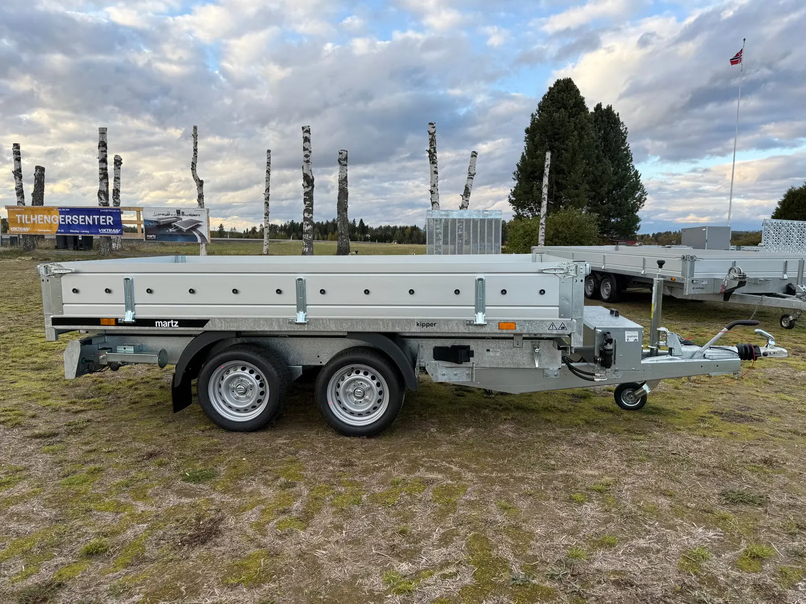 Anhänger Martz Tipper HD300/2S 3000 kg - Elektro- & Hand-Rückwärtskipper – Bild 1