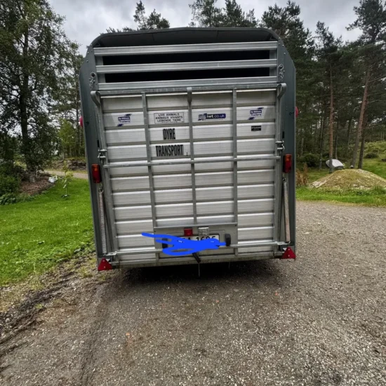 Ifor Williams TA510G Viehanhänger - 3.74m Alu Transportanhänger 3500kg - Einachser/Tandem – Bild 12