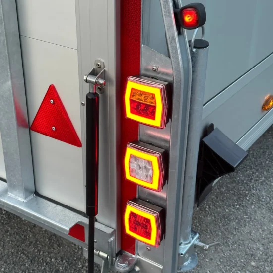 Geschlossener Autotransporter Debon Roadster 2000 (mit Fluggeltüren & Seitentüren) – Bild 16
