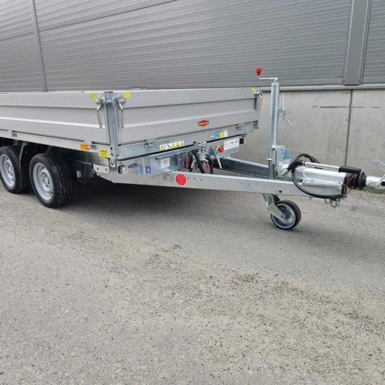 Dreiseitenkipper Böckmann DK-AL 3218/35P (3.500 kg Tandem-Kipper) – Bild 16