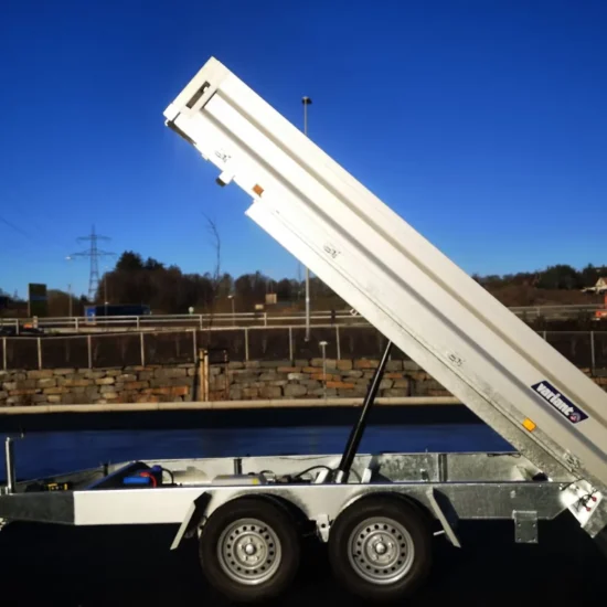 Rückwärtskipper Variant 2717 T3 (2.700 kg Maschinentipper) – Bild 4