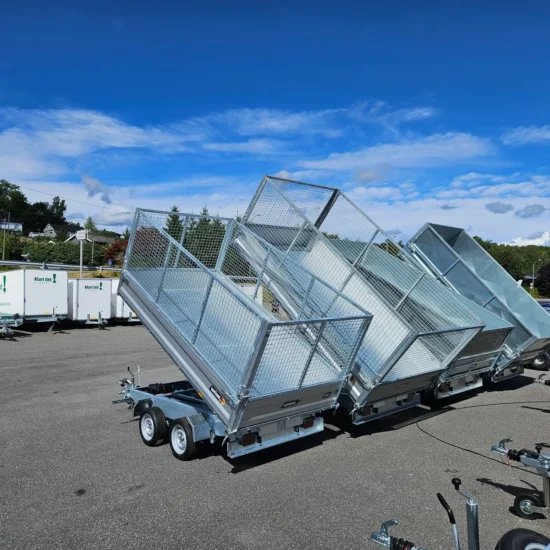 Dreiseitenkipper Variant 3517 TB (3.500 kg Schwerlast-Kipper mit Aluminiumbordwänden) – Bild 2