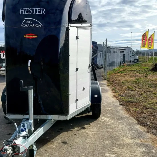 Böckmann Big Champion E Pferdeanhänger - 2 Pferde Vollalu WCF-Fahrwerk XXL-Sattelkammer 2400kg – Bild 6