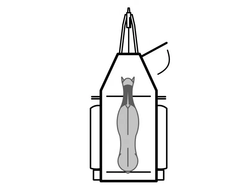 Böckmann Champion Uno C - 1-Pferde-Anhänger Alu CFF-Fahrwerk Führerschein B 1600kg