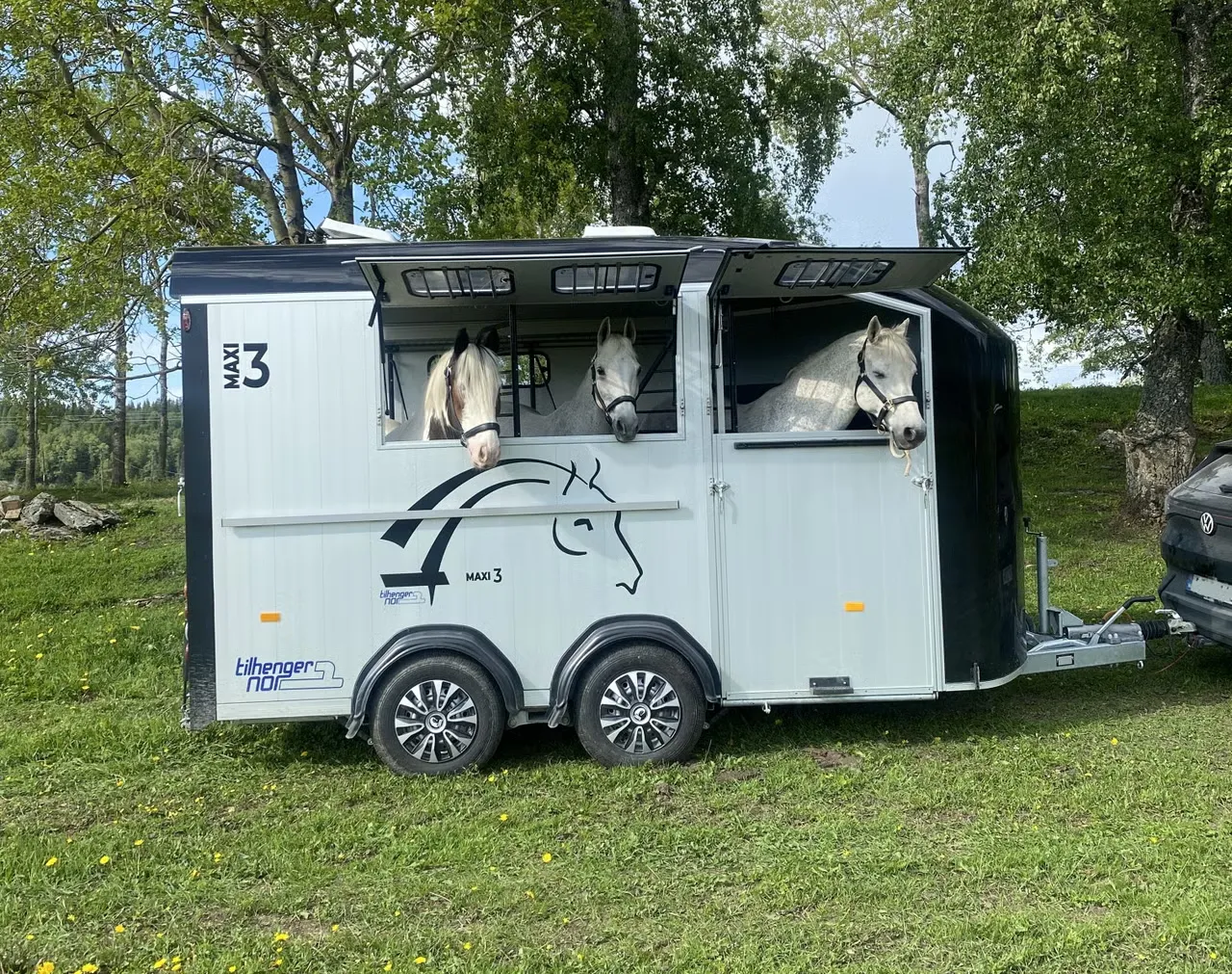 Cheval Liberté MAXI 3 Living - 3 Pferde Anhänger Wohnbereich Pullman2 Alu 3500kg – Bild 7